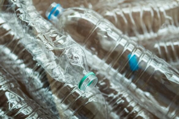 How long can I use a PET plastic bottle?
